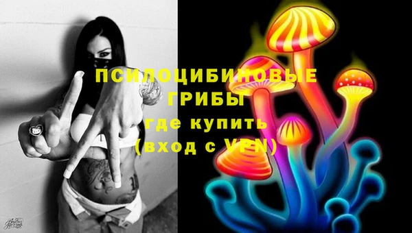 индика Аркадак