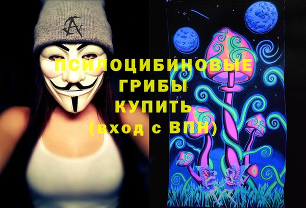 ECSTASY Козловка