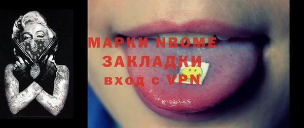 индика Аркадак