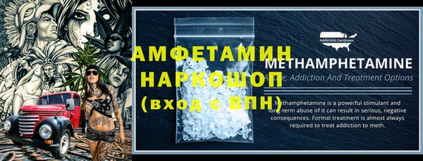 индика Аркадак