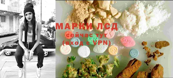 PSILOCYBIN Козельск