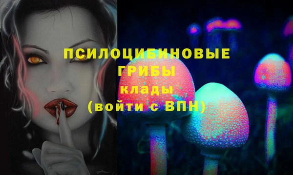 индика Аркадак