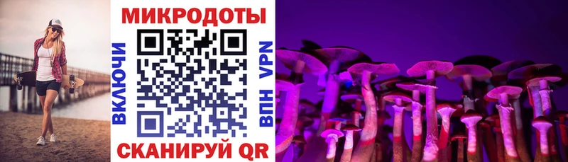 Галлюциногенные грибы Psilocybine cubensis  Купить закладки  Белозерск 